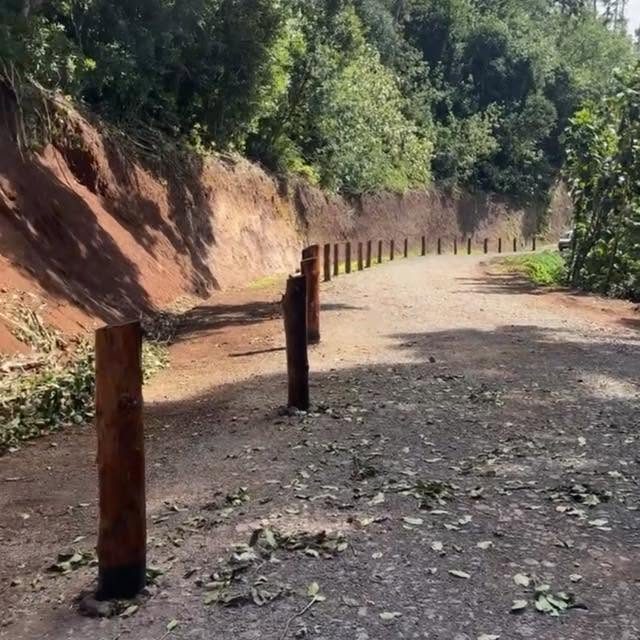 Alignement de rondins de bois plantés le long d'une route de terre en sous-bois