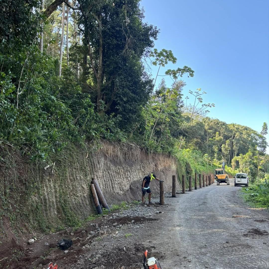 Route de terre bordée de rondins de bois fraîchement posés le long d'un talus, à Raiatea